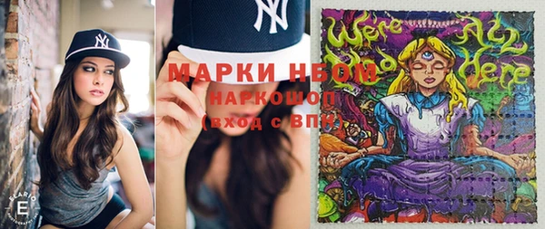 дмт Осташков